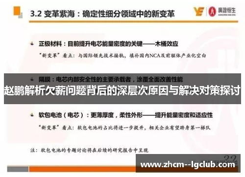 赵鹏解析欠薪问题背后的深层次原因与解决对策探讨
